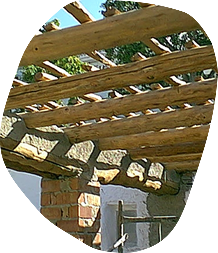 REHABILITACION AUTONOMICA EN LA ALPUJARRA